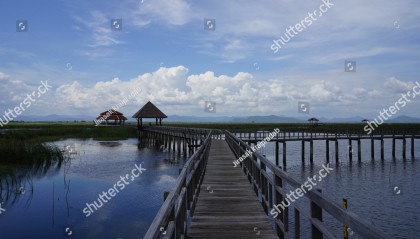 BXThailand(南京一技校“砌墙课”引围观)