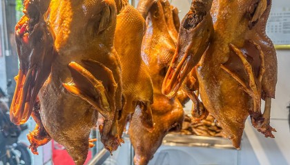 TGCX(透骨草洗头的功效与作用)