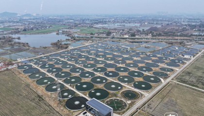 超级大圆桶养鱼 一“桶”产鱼超10吨!