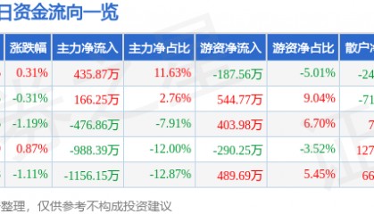 股票行情快报：九华旅游（603199）8月4日主力资金净买入435.87万元