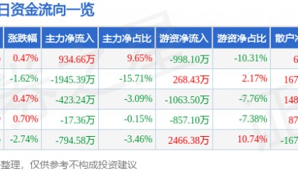 股票行情快报：京能电力（600578）8月15日主力资金净买入934.66万元