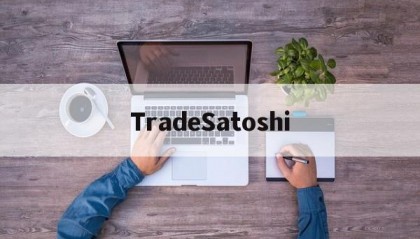 关于TradeSatoshi的信息