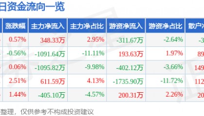 股票行情快报：宣亚国际（300612）8月21日主力资金净买入348.33万元