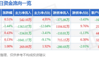 股票行情快报：九华旅游（603199）8月28日主力资金净买入542.10万元