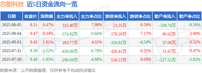 股票行情快报：芯能科技（603105）8月5日主力资金净买入315.40万元