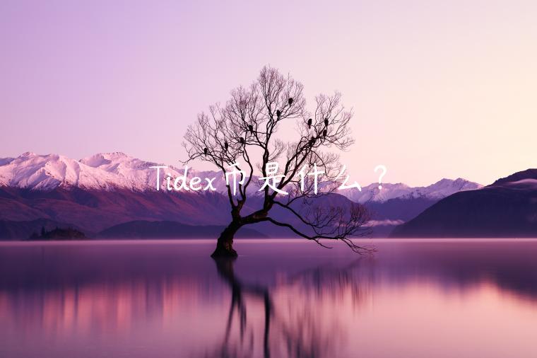 Tidex(ti的相对原子质量多少)